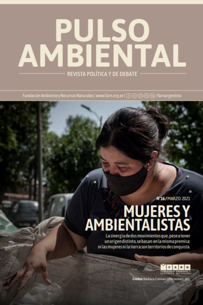 Tapa de revista Pulso Ambiental n°16